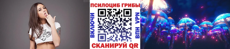 Псилоцибиновые грибы Psilocybine cubensis  как найти закладки  Артёмовск 